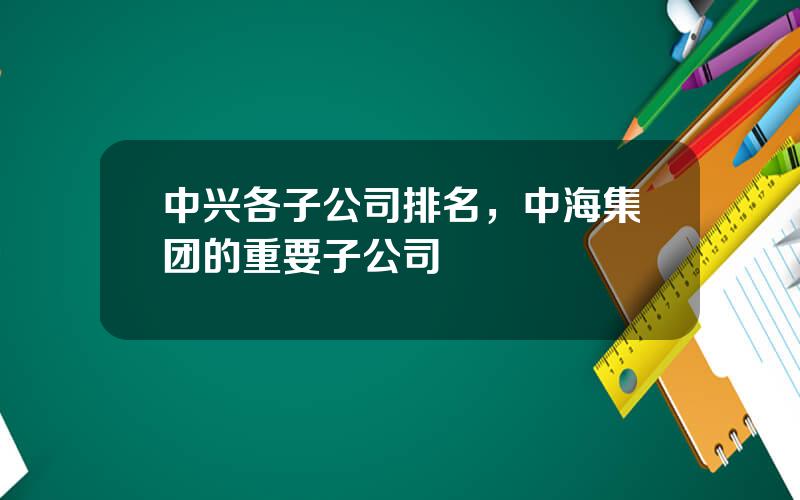 中兴各子公司排名，中海集团的重要子公司