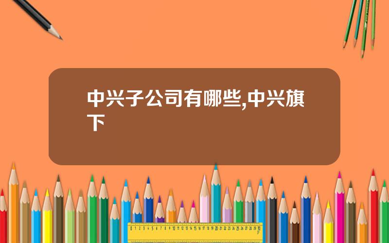 中兴子公司有哪些,中兴旗下