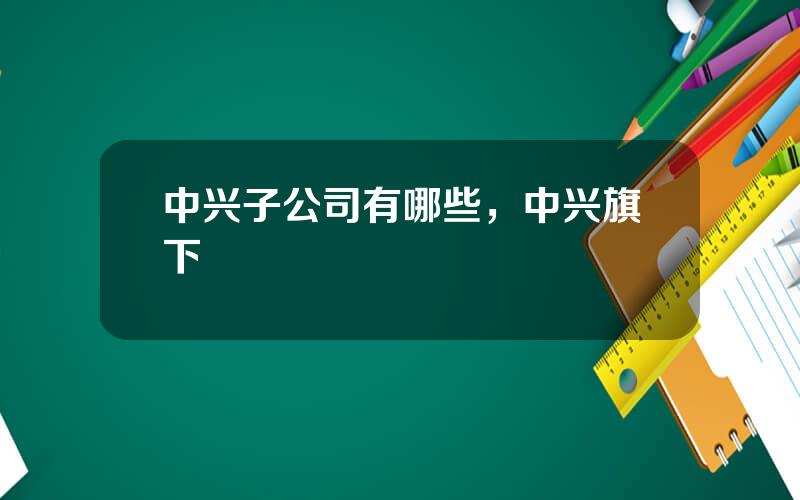 中兴子公司有哪些，中兴旗下