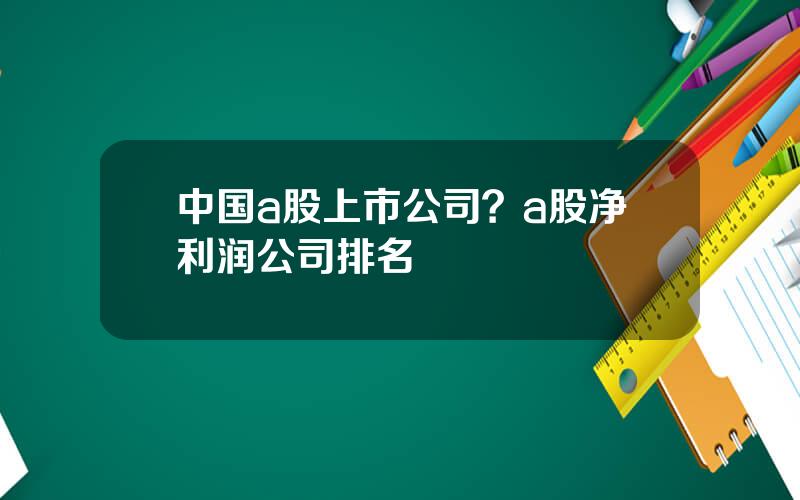 中国a股上市公司？a股净利润公司排名