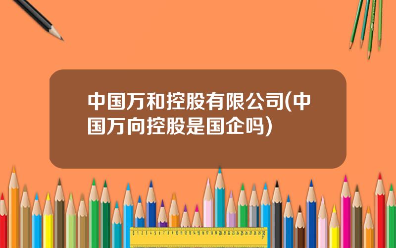 中国万和控股有限公司(中国万向控股是国企吗)