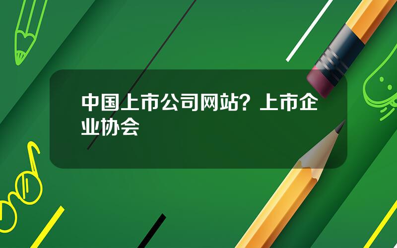 中国上市公司网站？上市企业协会
