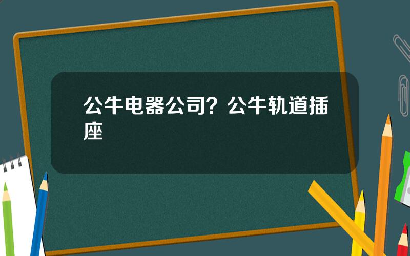公牛电器公司？公牛轨道插座
