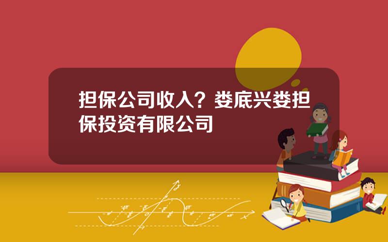 担保公司收入？娄底兴娄担保投资有限公司