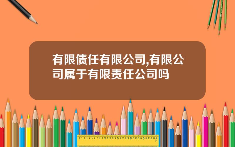 有限债任有限公司,有限公司属于有限责任公司吗