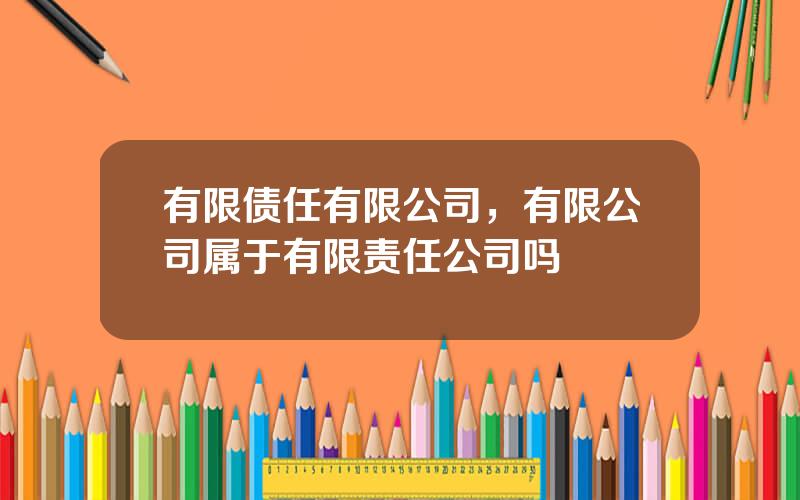 有限债任有限公司，有限公司属于有限责任公司吗
