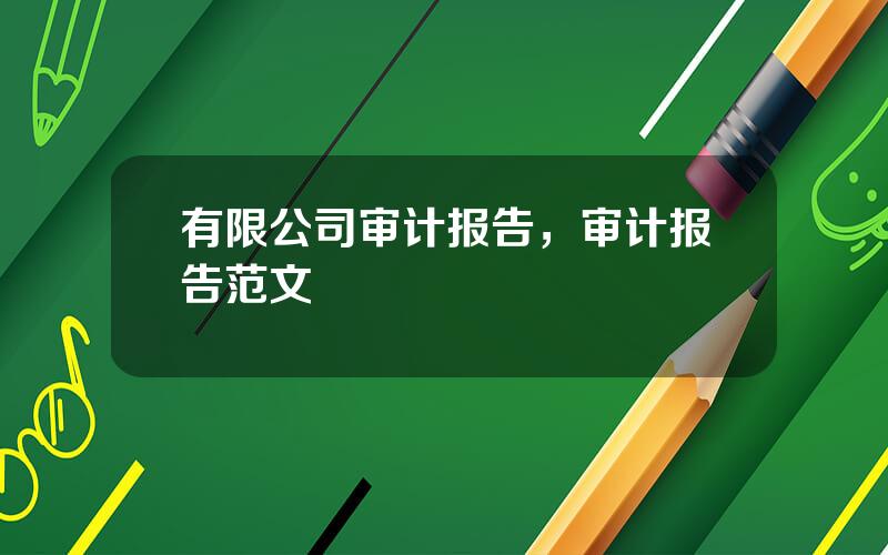 有限公司审计报告，审计报告范文