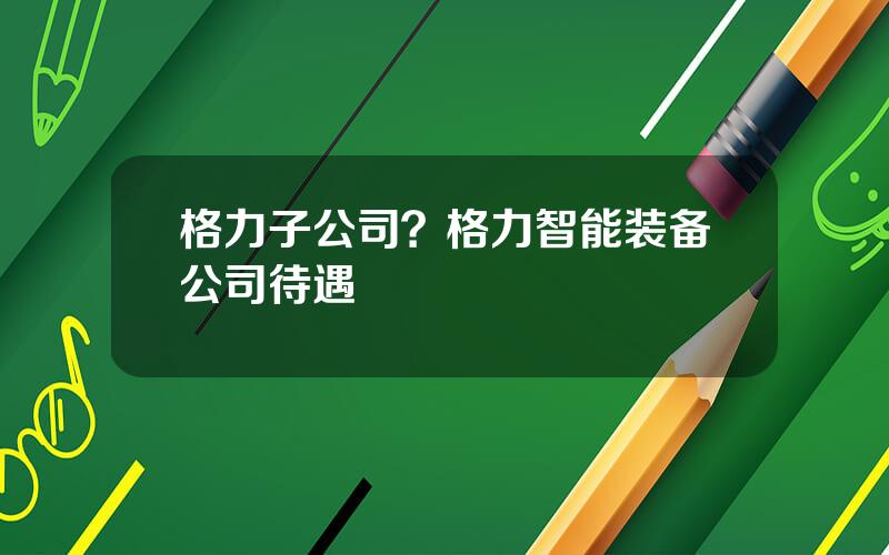 格力子公司？格力智能装备公司待遇