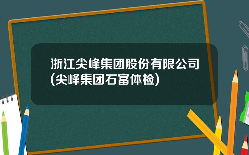 浙江尖峰集团股份有限公司(尖峰集团石富体检)