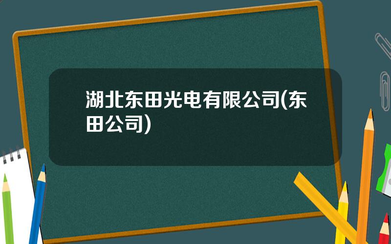 湖北东田光电有限公司(东田公司)